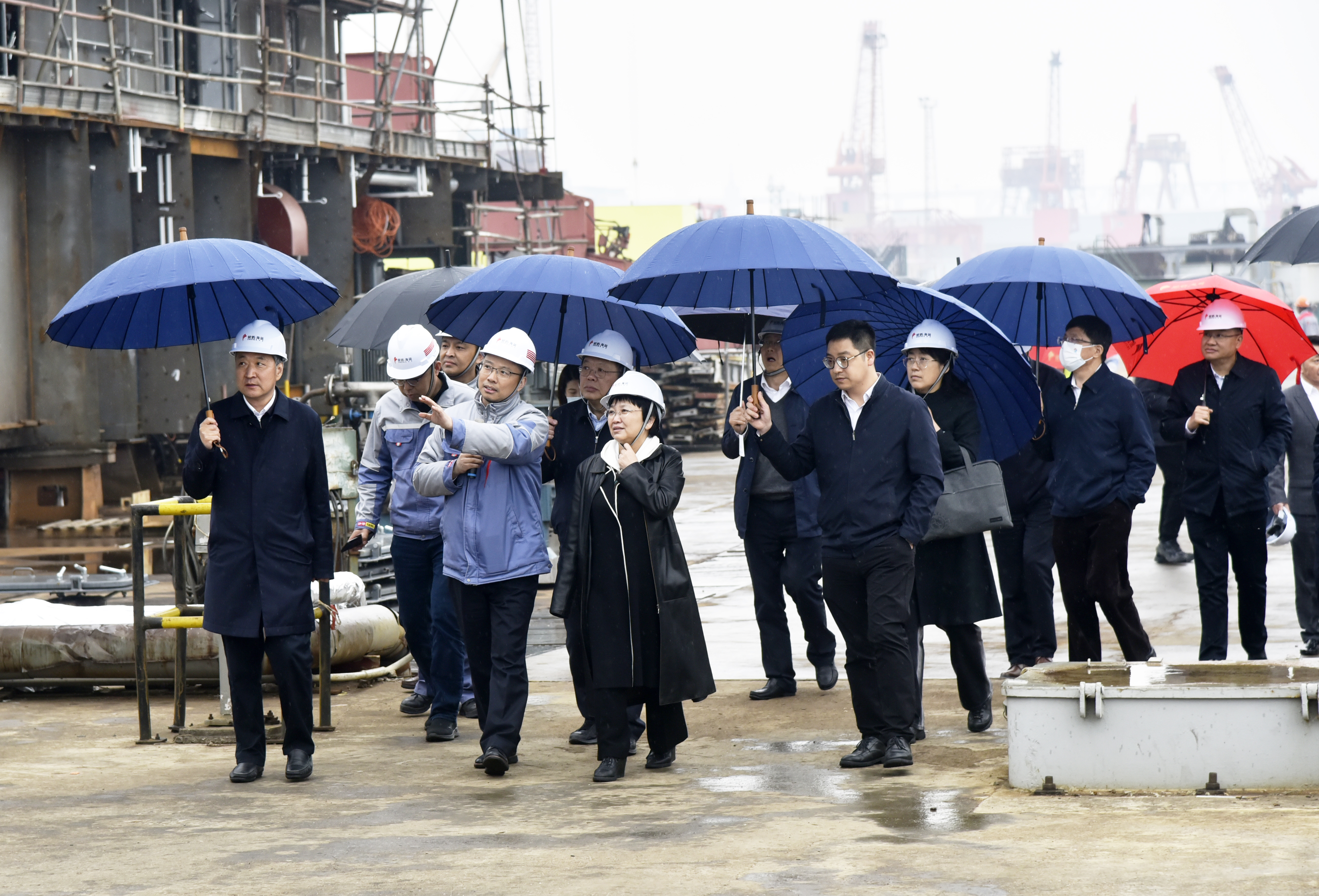 江苏省政协副主席周岚一行调研象屿海装